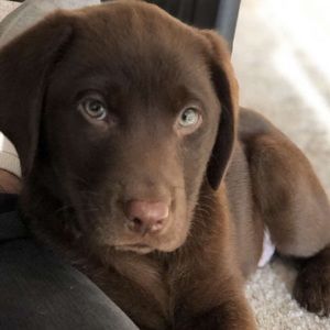 Meet your Posher, Kiara